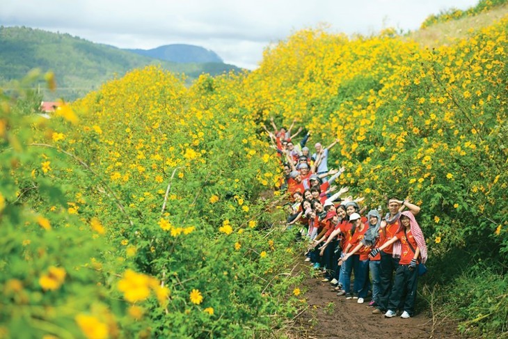 ฤดูดอกทานตะวันบานสะพรั่งในพื้นที่เขตเขา - ảnh 16