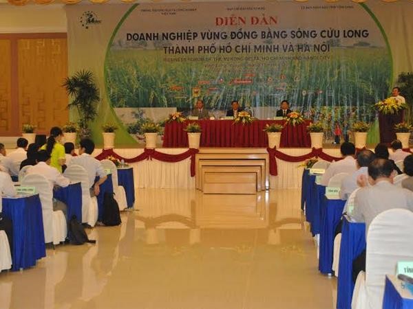 Mekong Delta, HCM city, Hanoi Business Forum  - ảnh 1