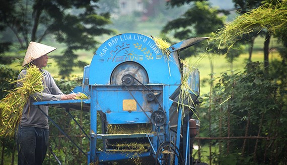 Beautiful Vietnam through American tourist’s lens  - ảnh 10