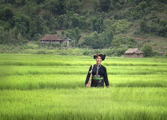 Beautiful Vietnam through American tourist’s lens  - ảnh 18