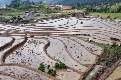 Black Ha Nhi people in Lao Cai - ảnh 1