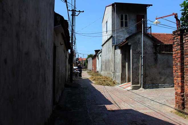 Duong Lam ancient village in autumn - ảnh 11