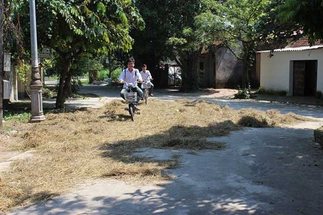 Duong Lam ancient village in autumn - ảnh 17