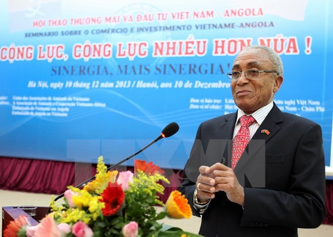 Angola, Vietnam have great potential for cooperation - ảnh 1