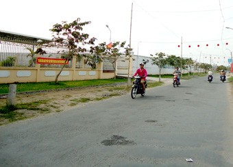 Women in Phong Dien contribute to new rural development - ảnh 1