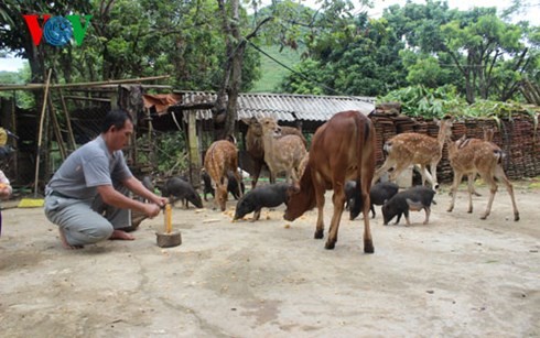 Changes in Muong Hung commune - ảnh 1