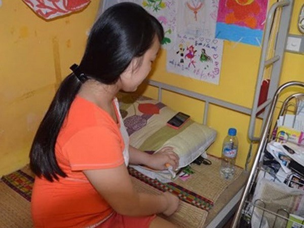 Increasing legal assistance to Vietnamese women - ảnh 1