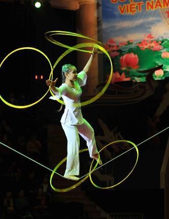 Vietnam-Laos-Cambodia Young Circus Talent Contest 2015 - ảnh 2