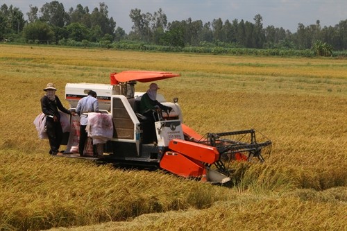 Nga Bay town, role model in building new-style rural areas in Mekong delta - ảnh 2