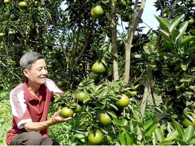 Nga Bay town, role model in building new-style rural areas in Mekong delta - ảnh 1