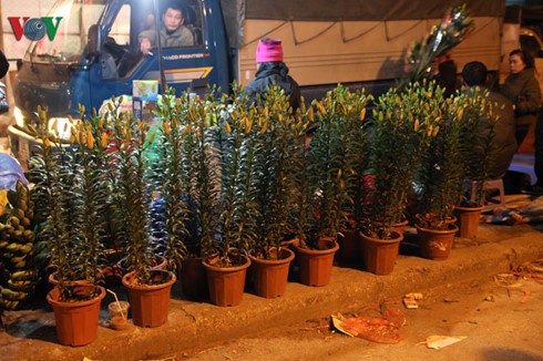 Quang Ba night flower market - ảnh 9