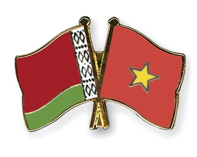 Vietnam, Belarus hold political consultations - ảnh 1