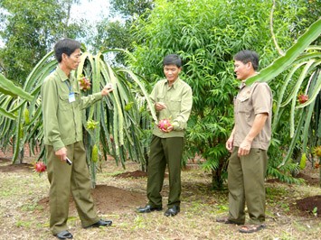 进一步落实好为国立功者政策 - ảnh 2