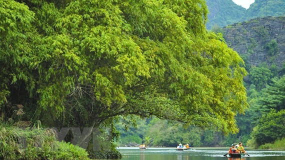  马来西亚媒体称越南旅游持续向好 - ảnh 1