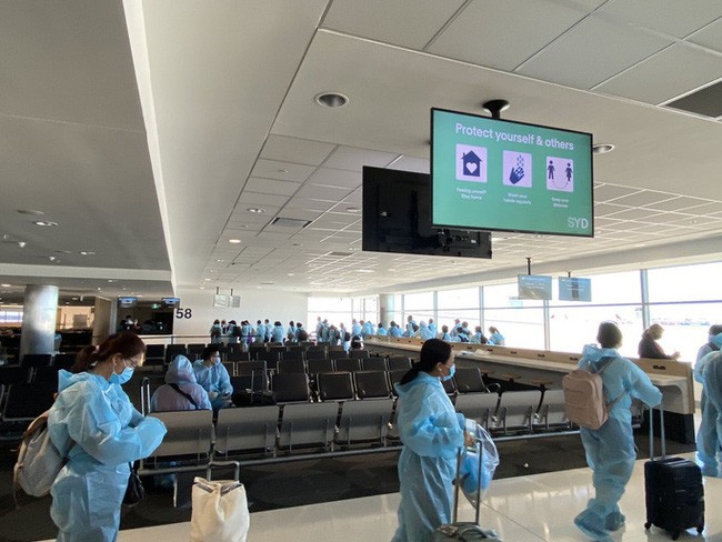 为越南公民安全回国安排包机航班 - ảnh 1