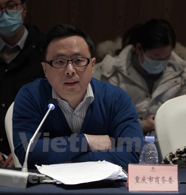 中国重庆市与越南的合作潜力仍然巨大 - ảnh 1