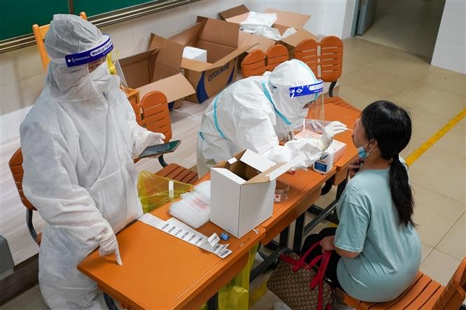 全球新冠肺炎疫情更新 - ảnh 1