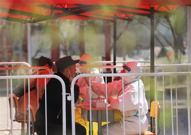 全球新冠肺炎确诊病例累计超过5.05亿例 - ảnh 1