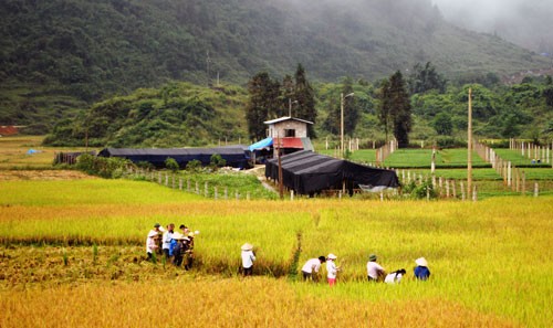 Demokratie bei Neugestaltung ländlicher Räume in Lao Cai - ảnh 1