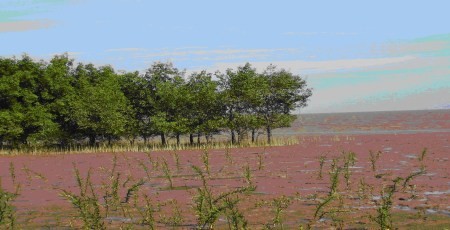 Küstenschutz in Vietnam - ảnh 1