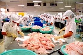 US-Repräsentantenhaus gegen Kontrolle von Pangasius - ảnh 1