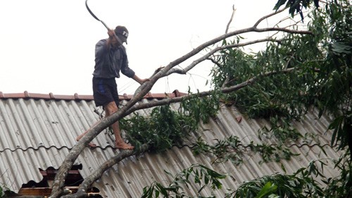 Zentralvietnam bemüht sich um Opfer von Wutip - ảnh 1