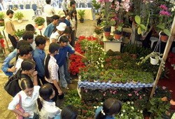 Jugendliche in ländlichen Gegenden werden ausgezeichnet - ảnh 1