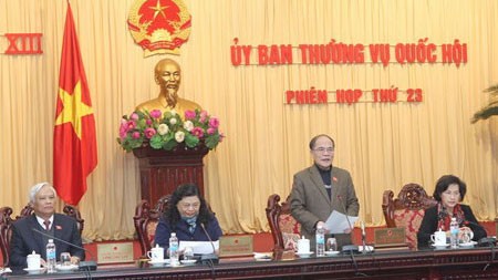 Vorbereitung auf Umsetzung der Verfassung - ảnh 1