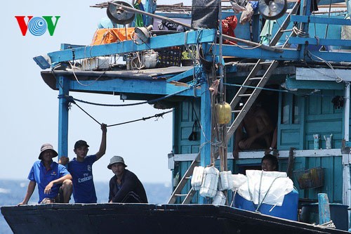 Vietnamesische Fischer fahren auf Fischfang trotz Behinderung durch chinesische Schiffe - ảnh 15