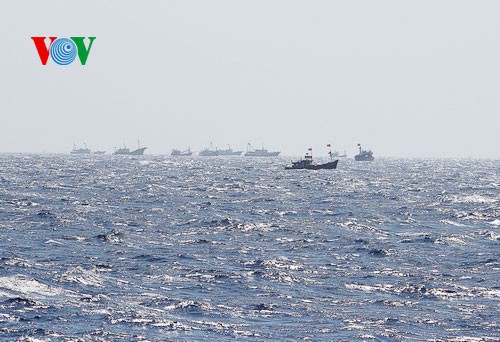 Vietnamesische Fischer fahren auf Fischfang trotz Behinderung durch chinesische Schiffe - ảnh 16