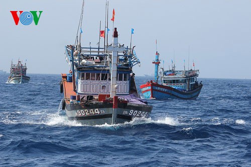 Vietnamesische Fischer fahren auf Fischfang trotz Behinderung durch chinesische Schiffe - ảnh 17