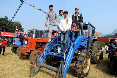 Schönheitswettbewerb der Kühe in Moc Chau - ảnh 6