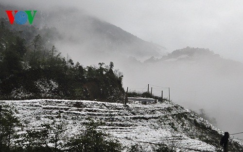 Schnee in Sapa - ảnh 2