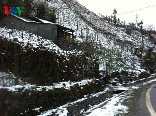 Schnee in Sapa - ảnh 8