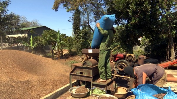 Kaffee-Festival in Buon Ma Thuot: Ehren des vietnamesischen Kaffees - ảnh 1