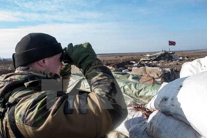 “Normandie-Quartett” uneinig über Lösung der Krise in der Ostukraine - ảnh 1