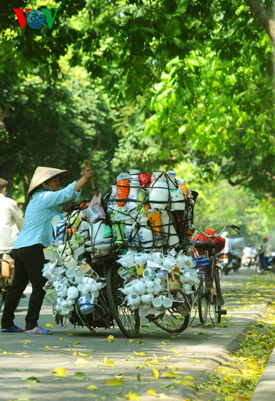 Hanoi in der Jahreszeit, in der die Bäume ihre Blätter fallen lassen - ảnh 10