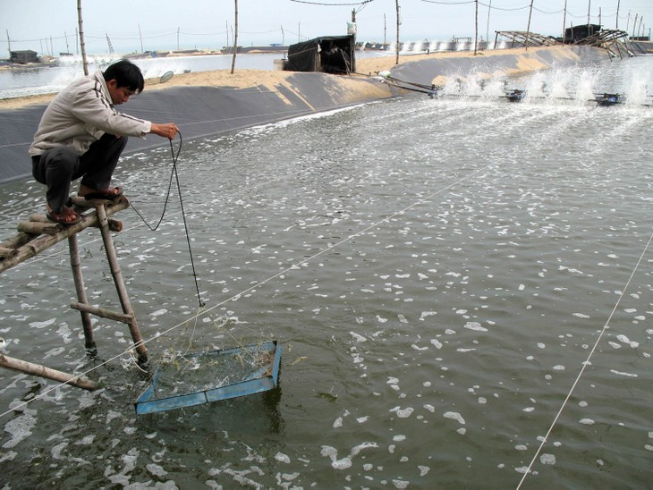 Anwendung der Technologien zur Landwirtschaftsentwicklung in ländlichen Gebieten - ảnh 1