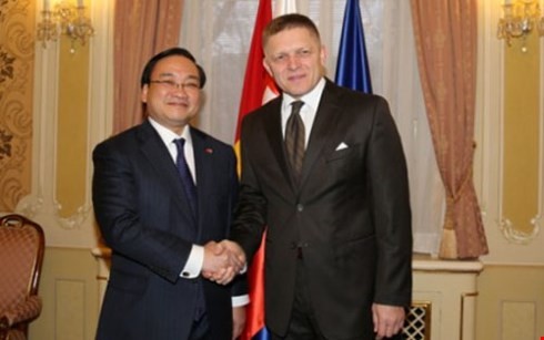 Umfassende Zusammenarbeit zwischen Vietnam und der Slowakei - ảnh 1