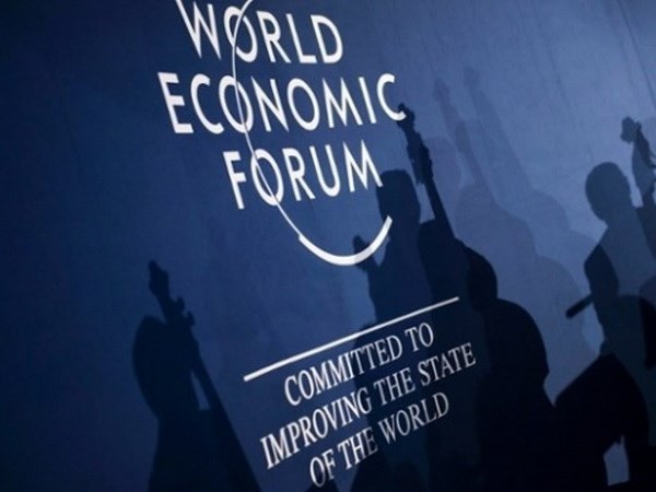 WEF und die heiß diskutierten Themen - ảnh 1