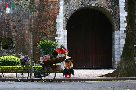 Liliengewächse auf den Straßen Hanois - ảnh 7