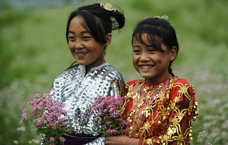 Schöne Landschaften in Vietnam - ảnh 10