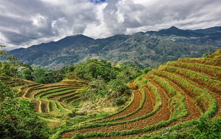 Schöne Landschaften in Vietnam - ảnh 7