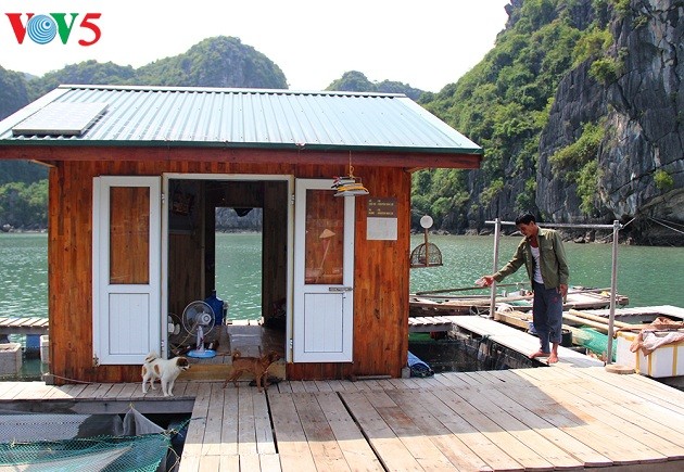 Fischer in Halong-Bucht leben im Einklang mit dem Meer - ảnh 1