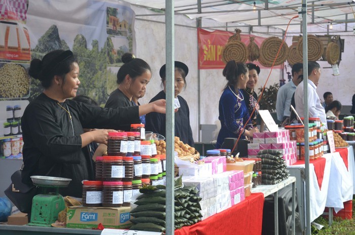 Seminar zur “Entwicklung des Tourismus und der Neugestaltung in ländlichen Gegenden - ảnh 1