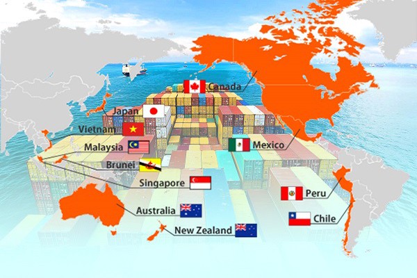 Neuseeland und Vietnam teilen Informationen über CPTPP  - ảnh 1