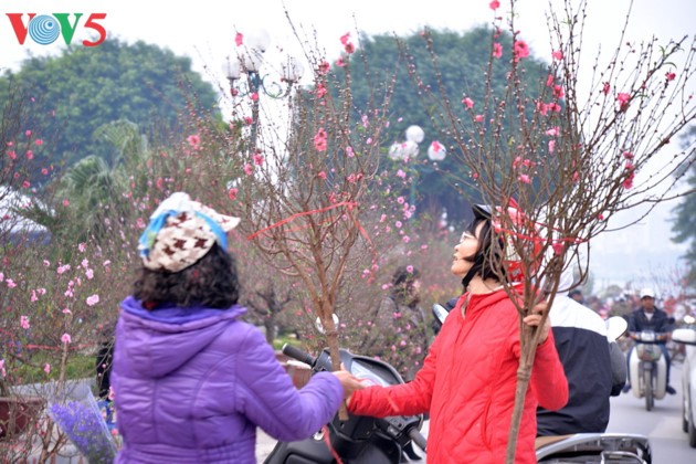 Die Stimmung in Hanoi vor dem Tet-Fest - ảnh 5