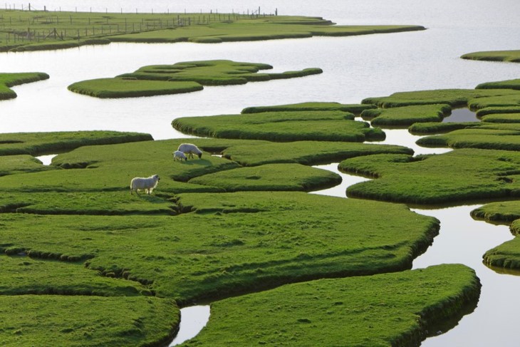 Mu Cang Chai ist eine der buntesten Landschaften weltweit - ảnh 4