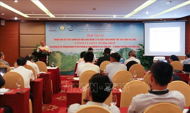 Festlegung der Grenze und der Schutzzone der Ha Long-Bucht - ảnh 1