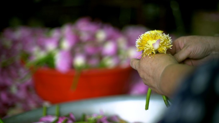 Aroma von Lotusblüten im Tee - ảnh 11